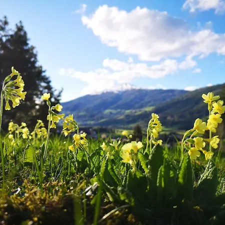 Vakantiehuis Brunneben Haeusl *
